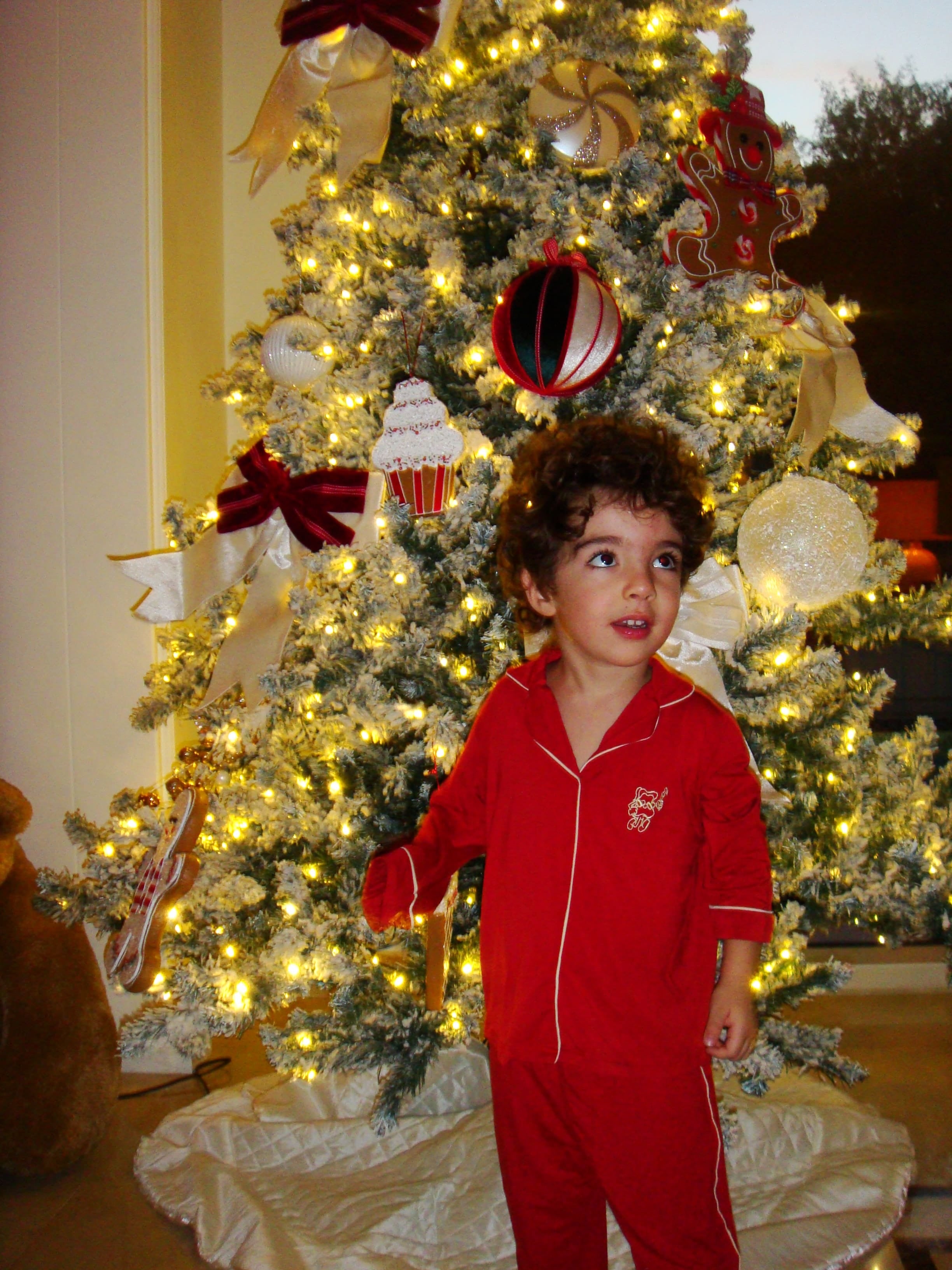 Mini Cranberry Vanilla Shirt