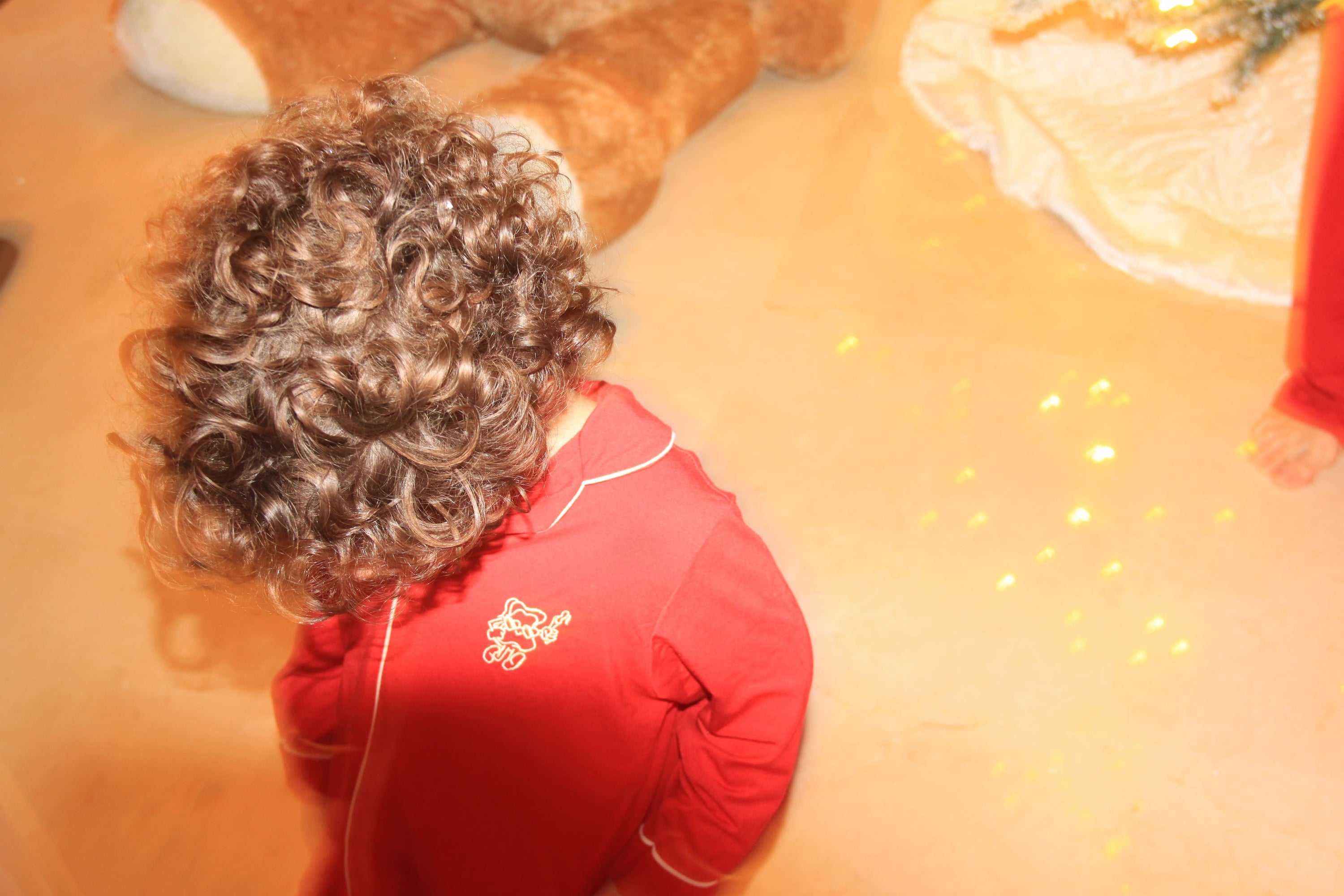 Mini Cranberry Vanilla Shirt